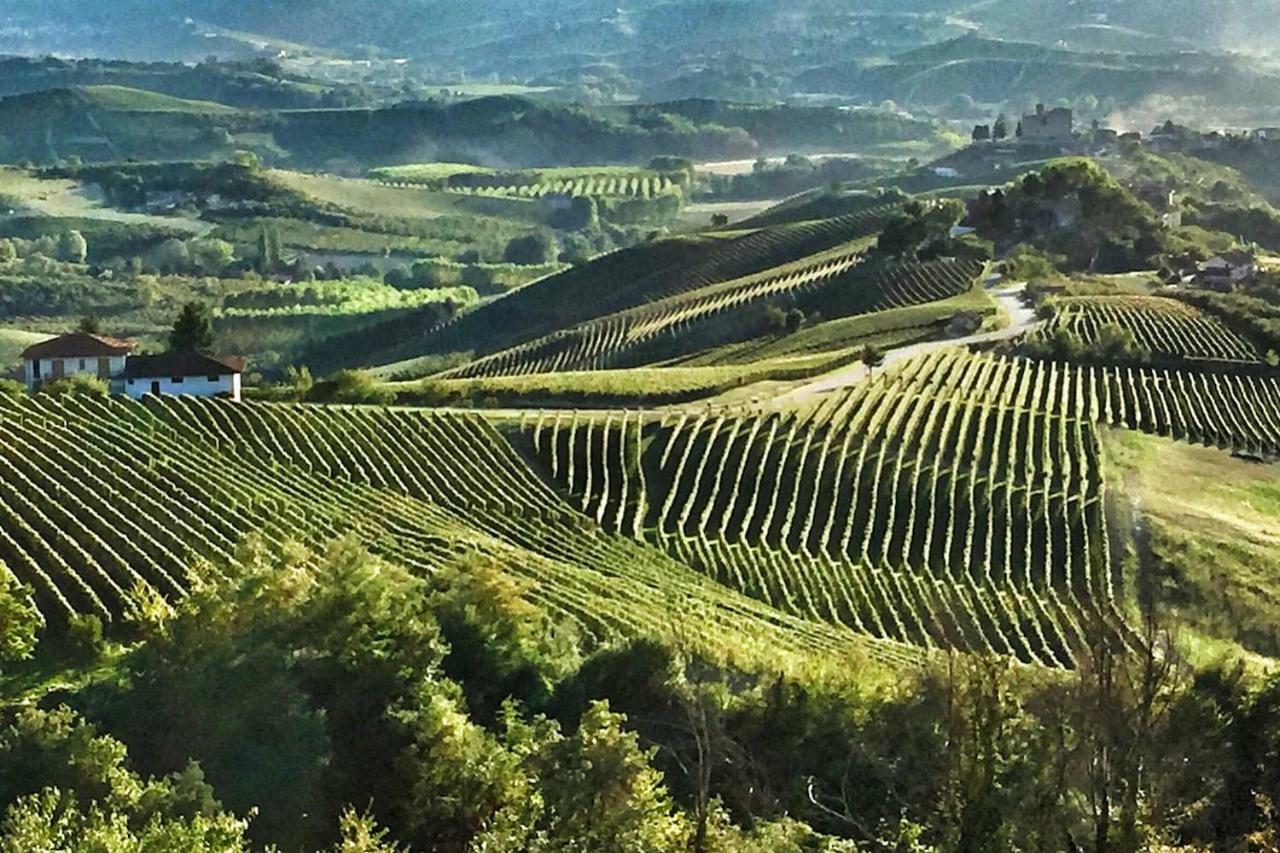 Casa Dei Nonni #Charminglanga Villa Grinzane Cavour Eksteriør bilde